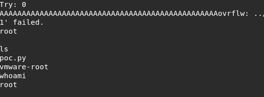 Buffer Overflow return Root Shell